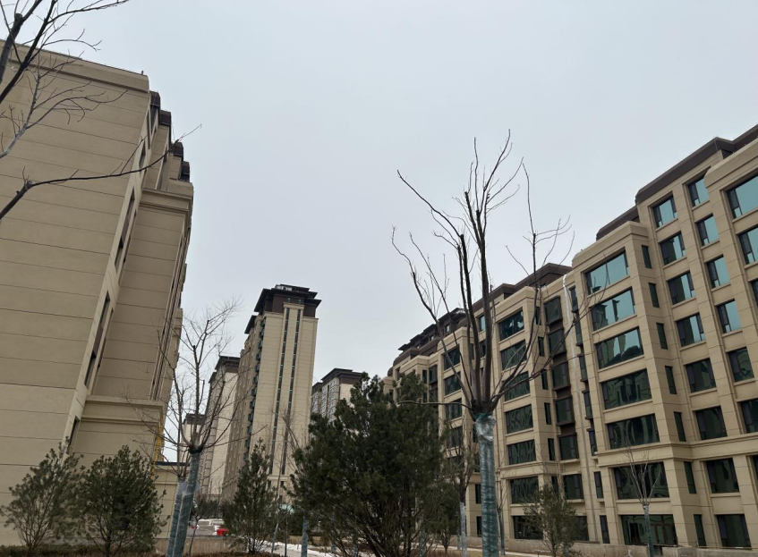 臨潭中央幸福城（甘南）
